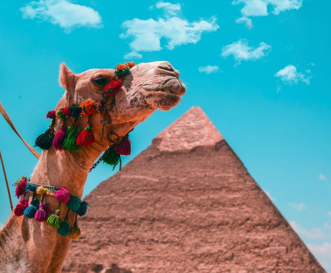 Cairo landmark